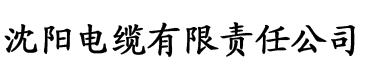 经典影院红桃久久电缆厂logo